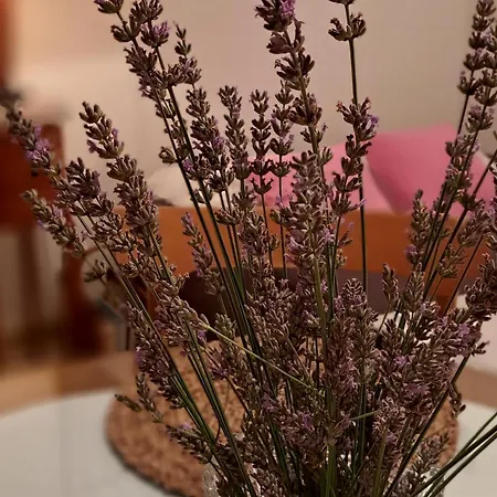Apartma Deni *
