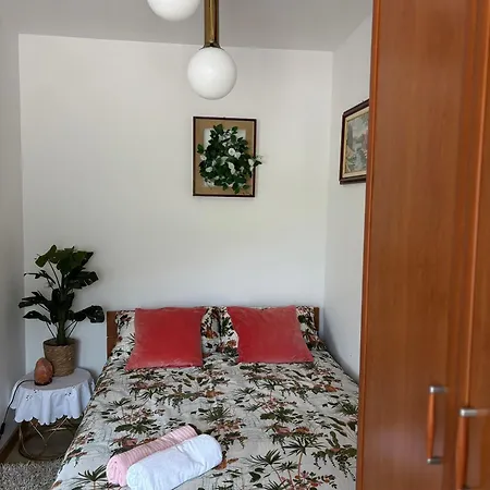 Apartma Deni Jelsane